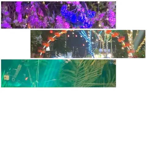 Colorful Lights and Decorations