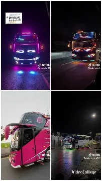 Buses Decorated with Colorful Lights