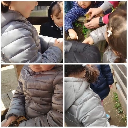 Children Interacting with Small Animal