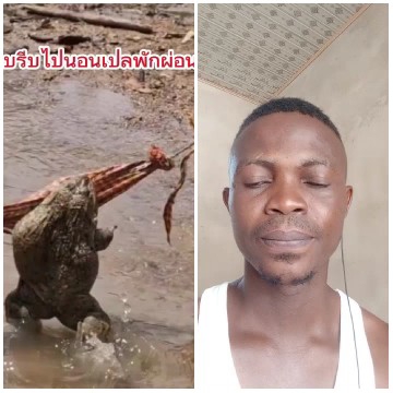 Crocodile and Man in Contrast