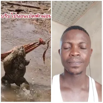 Crocodile and Man in Contrast