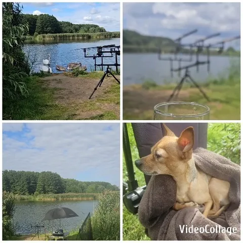 Lakeside Fishing with a Dog