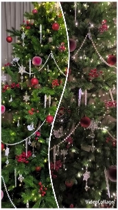 Decorated Christmas Trees with Lights