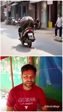 Riding a Scooter on a Street