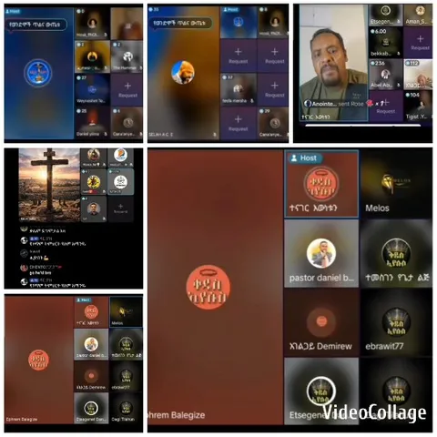 Virtual Group Meeting Discussion