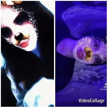 Digital Dog Filter Fun