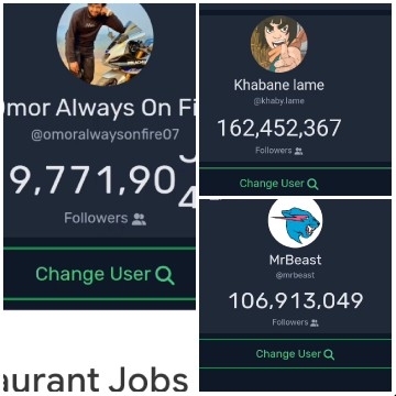 Social Media Profiles Overview