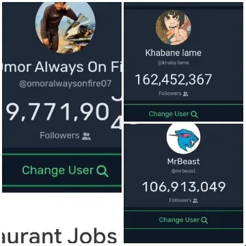 Social Media Profiles Overview