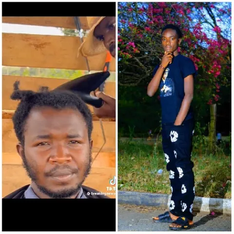 Haircut in Progress Outdoors