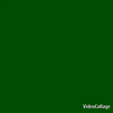 Green Square with Text Overlay