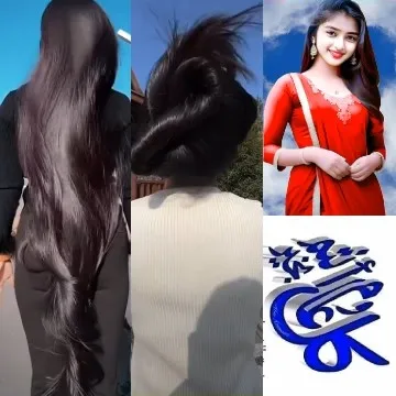 Various Hairstyles in Four Sections