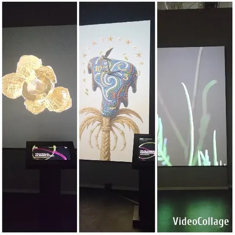 Artistic Sculpture and Abstract Shape Display