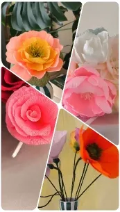 Colorful Flowers in Sections