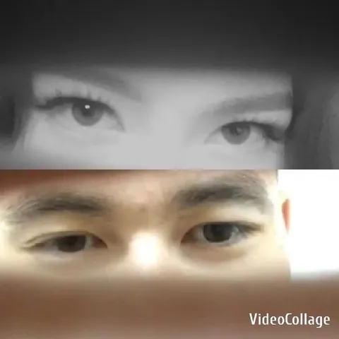 Close-Up Eyes in Black and White