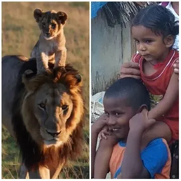 Lion Walking with Cub and Children