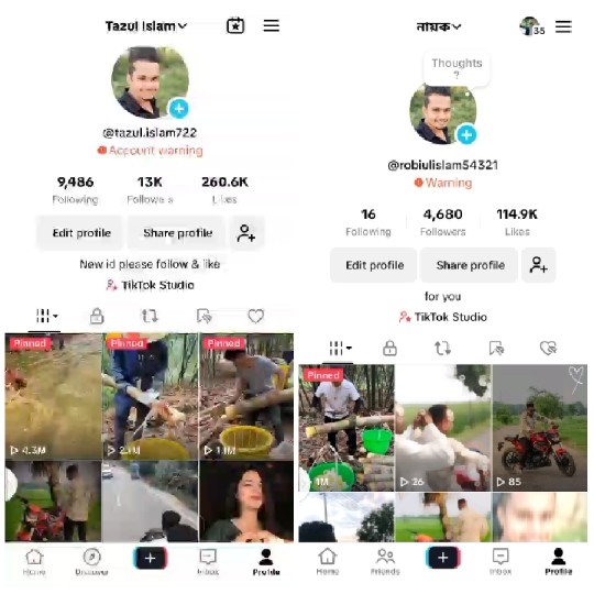 Two TikTok Profile Pages Displayed
