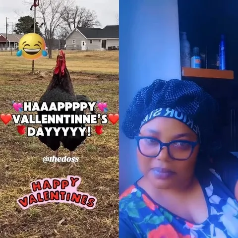 Funny Rooster with Valentines Text