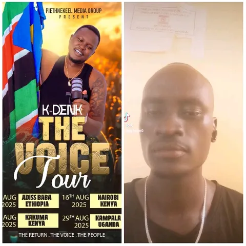 Music Tour Poster and Portrait