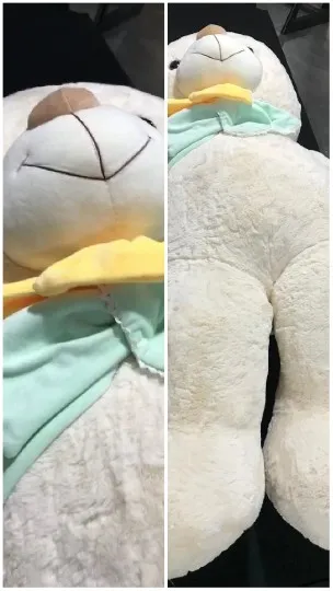 Plush Teddy Bear from Different Angles