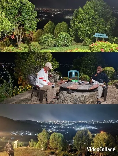 Nighttime City and Garden Views