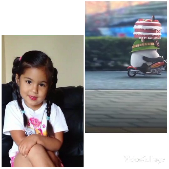Girl With Braided Hair and Panda Toy
