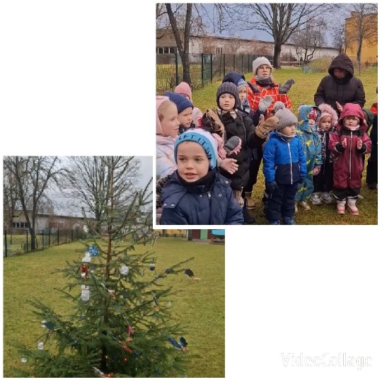 Children Engaged in Winter Activity