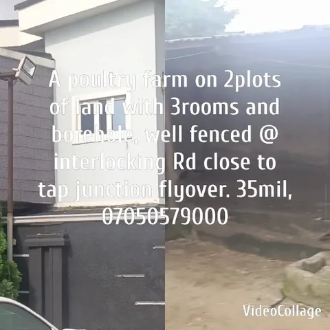 Modern and Rustic Building Split