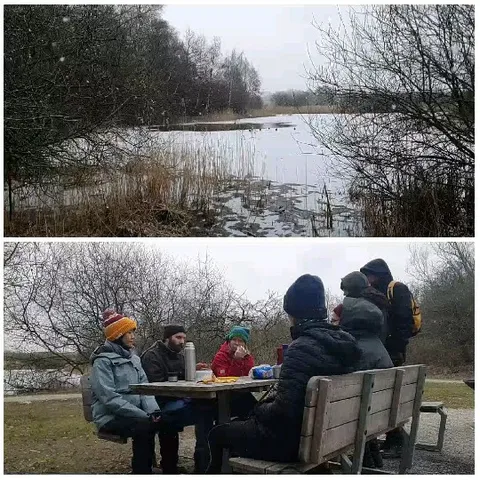 Winter Landscape and Picnic Gathering
