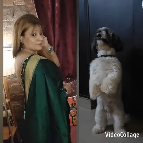 Woman in Green Sari with Dog