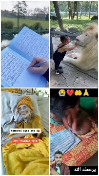 Book, Lion, Elderly, Baby Scenes