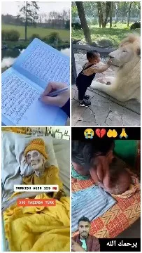 Book, Lion, Elderly, Baby Scenes