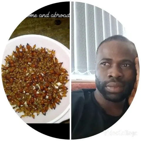 Bowl of Insects and Pensive Man