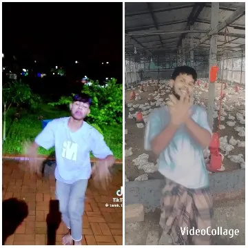 Outdoor Dance and Indoor Poultry