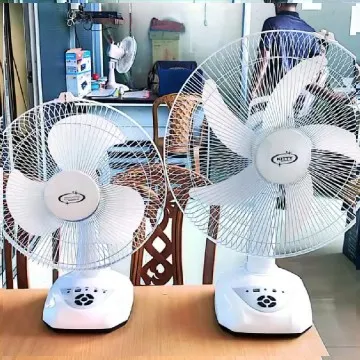 Two Fans on a Wooden Table