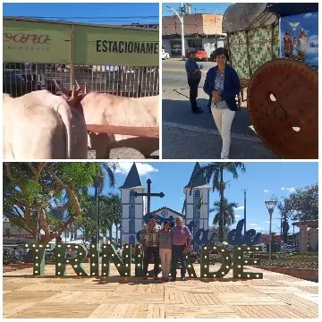Cows in Enclosure with Sign