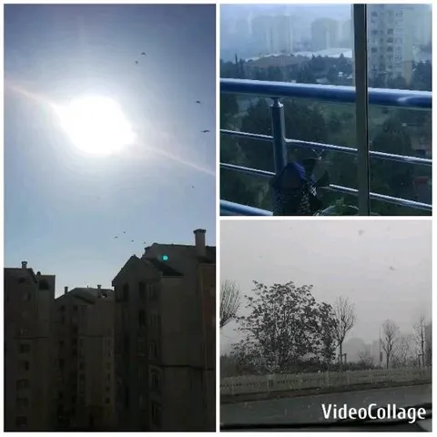 Sunny Day and Serene Outdoor Views