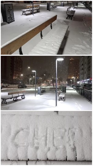 Snowy Park at Night Scenes