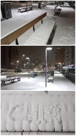 Snowy Park at Night Scenes
