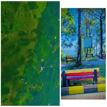 Abstract Pattern and Sunny Park
