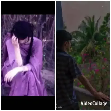 Thoughtful Moments in Nature