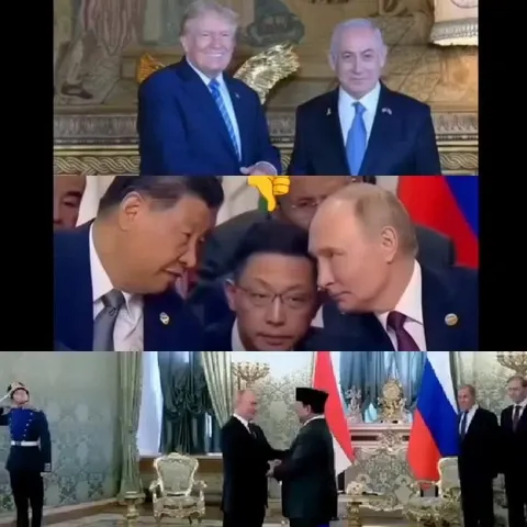 Handshake In Official Setting