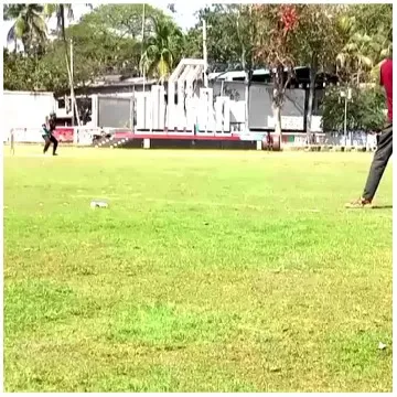 People Playing in Grassy Field