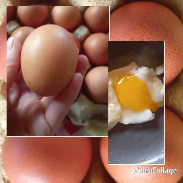 Hand Holding Brown Egg and Cracked Egg