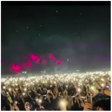 Crowd with Phones at Concert