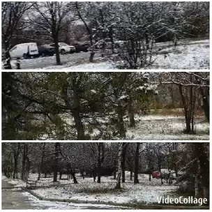 Snowy Landscape with Parked Cars