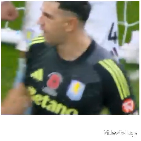 Goalkeeper Near Soccer Goal