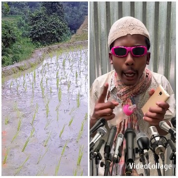 Animated Speaker in Rice Paddy