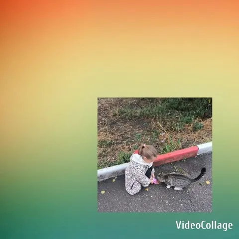 Child Interacting with Friendly Cat