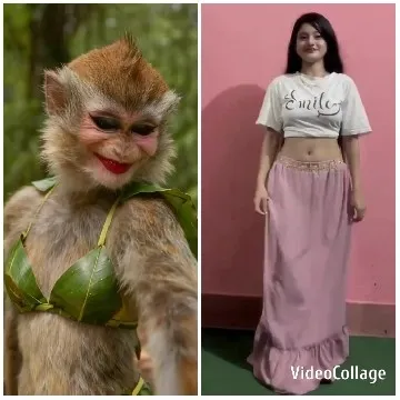 Altered Monkey and Fashionable Person