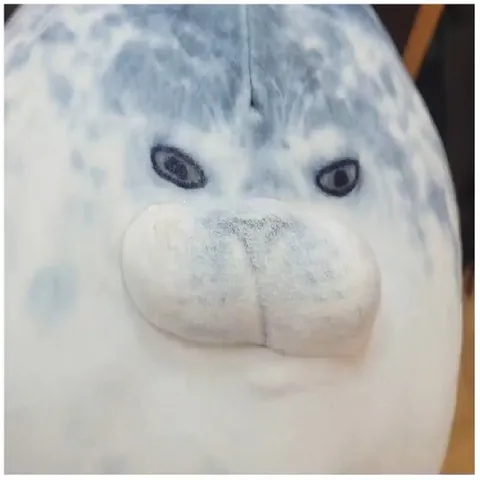 Plush Seal Toy Close-Up
